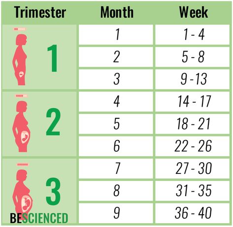 Pregnancy Weeks And Months, 2 Weeks Pregnant, 1 Week Pregnant, Pregnancy Month, 4 Weeks Pregnant, Pregnancy Chart, 23 Weeks Pregnant, Pregnancy Weeks, 15 Weeks Pregnant