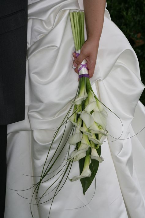 Minature  Calla Lilys with Bear Grass and Tai leaf - Classy Wedding Flowers Lilies, Calla Lily Bouquet Wedding, Simple Wedding Bouquets, Calla Lily Flowers, Calla Lily Bouquet, Lily Wedding, Bridal Bouquet Flowers, Lily Bouquet, Hand Bouquet