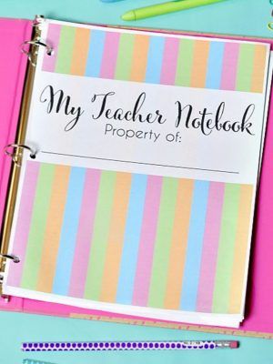 Free Teacher Planner, Vacation Planning Printables, Home Organization Printables, Teacher Planner Templates, Chore Cards, Cleaning Checklists, Monthly Budget Template, Holiday Goodies, Planner Covers