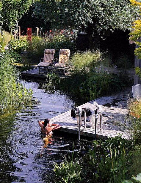 Swimming Pond, Natural Swimming Pool, Natural Pool, Gorgeous Gardens, Summer Dream, Dream Garden, My New Room, Summer House, Future House