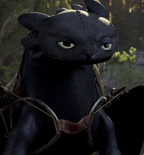 Aesthetic Httyd, Httyd Icons, Toothless Funny, Httyd Aesthetic, Httyd Wallpaper, Dragons Aesthetic, Toothless Wallpaper, Cute Toothless, Httyd Toothless