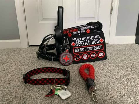 Service Dog Mobility Harness, Cute Service Dog Vest, Mobility Service Dog, Dog Vest Diy, Golden Retriever Service Dog, Service Dog Gear, Vest Ideas, Service Dog Patches, Psychiatric Service Dog