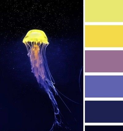 Peacock Color Palette, Harry Potter Colors, Analogous Color Scheme, Purple Palette, Orange Color Palettes, Cool Color Palette, Purple Color Palettes, Color Palette Yellow, Color Schemes Colour Palettes