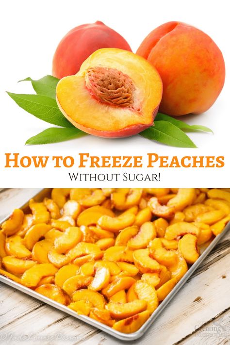 The Easiest way to Learn How to freeze peaches without Sugar for smoothies, for cobblers, for pies or any dessert and baking needs throughout the year. Including Tips for removing the skin/ blanching peaches. An Easy way to preserve your peaches for that fresh taste all year long. Blanching Peaches, Preserve Peaches, Freezing Peaches, Fresh Peach Recipes, Freezing Fruit, How To Peel Peaches, Frozen Peaches, Freezing Food, Peach Desserts