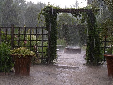 Rainy Garden, Rainy Garden Aesthetic, Rain Garden Aesthetic, Rainy Places Aesthetic, Rain In Garden Aesthetic, Rainy Day Forest Aesthetic, Rain And Thunderstorms, Rainy Day Aesthetic, All The Bright Places