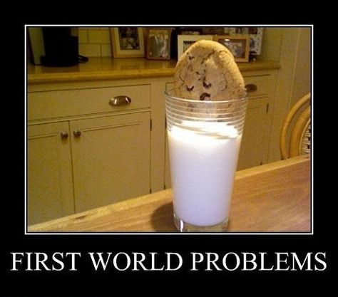 cookie. You know you want one. Come check out Stolendroids! 1st World Problems, Very Demotivational, Demotivational Posters, First World Problems, World Problems, Struggle Is Real, Teenager Posts, Bones Funny, First World