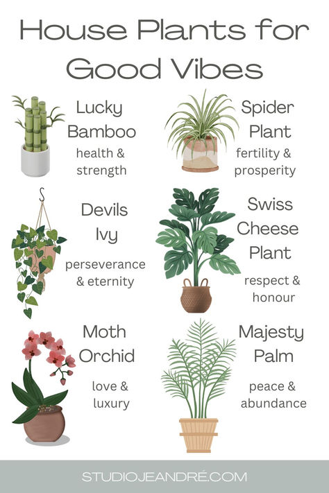 indoor plants, house plants, plant decor, plant aesthetic, indoor plant decor, indoor plants stylish, hanging plants indoor, best indoor plants Indoor Room Plants, Home With Plants Aesthetic, Inside Hanging Plants, Indoor Houseplants Decor, Cute Indoor Plants, Pretty Indoor Plants, Plant Room Ideas Aesthetic, Best Plants For Inside The House, Types Of House Plants Indoor