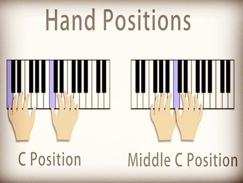 Little Fingers on Instagram: “Beginners Piano hands positions 🎹 #music #Dubai #littlefingers #Art #notes #people #connect #enjoy #ilovemusic #ilovepiano #pianolesson…” Piano Hand Position, Learn Piano Notes, Piano Hands, Piano Pictures, Piano Tutorials Songs, Piano Pedagogy, Piano Music Easy, Piano Lessons For Beginners, Learn Music Theory