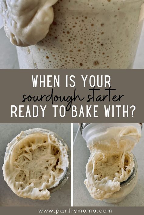 When is your sourdough starter ready to bake with - here are the signs to look for to know when your sourdough starter is bake ready. Pantry Mama, Gluten Free Sourdough Starter, Recipe Using Sourdough Starter, Sourdough Bread Starter, Dough Starter, Sourdough Starter Discard Recipe, Gluten Free Sourdough, Homemade Sourdough Bread, Bread Starter