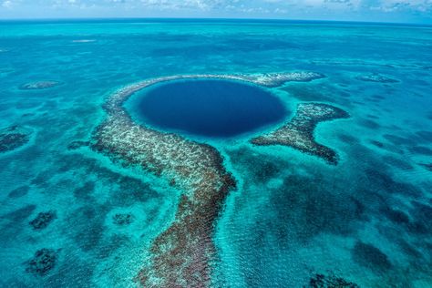 10 reasons why Belize is Central America’s hidden gem | London Evening Standard Belize Blue Hole, Great Blue Hole Belize, The Great Blue Hole, Blue Hole Belize, Dangriga, Sea Sparkle, Travel Belize, Great Blue Hole, Belize Beach