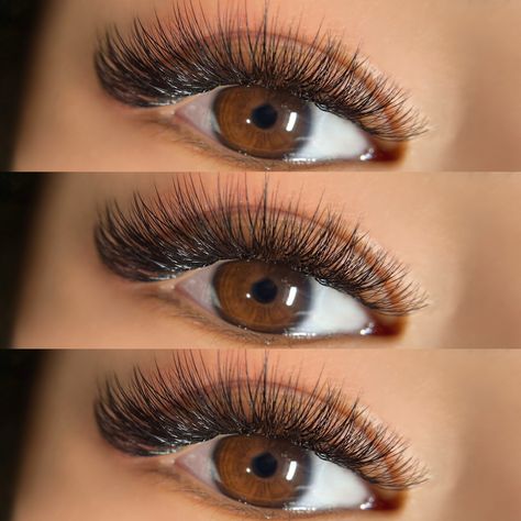 Hybrid Eyelash Extensions Hybrid Eyelash Extensions, Hybrid Lashes, Almond Eyes, Volume Lashes, 5 Hours, Lash Extensions, Eyelash Extensions, Beauty Tips, Eyelashes