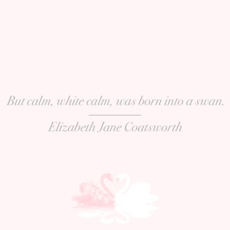 swan | grace | beauty | quote White Swan Mindset, Angelic Affirmations, Coquette Quotes, Widgets Pink, Swan Icon, Swan Quotes, Vision Collage, White Coquette, Aesthetic Tips