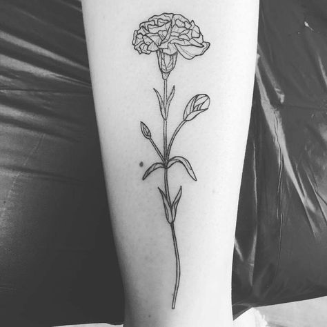 Top 33 Best Carnation Tattoo Ideas -[2021 Inspiration Guide] Carnation Tattoos, Carnation Flower Tattoo, January Flower, Tattoos For Females, Carnation Tattoo, Pretty Flower Tattoos, Tattoo Black And White, Traditional Tattoo Flowers, Tattoos Black