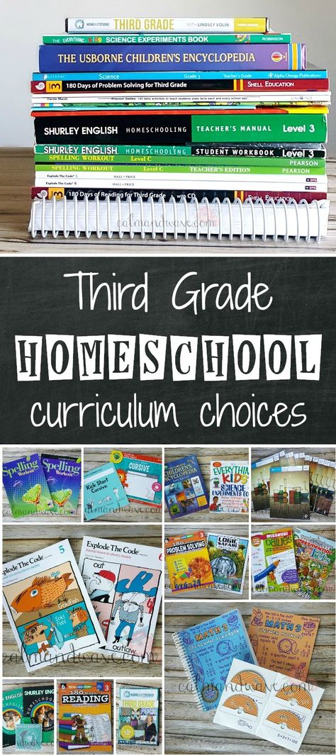 Third Grade Science Projects, Homeschooling 3rd Grade, Explode The Code, Homeschool Reading Curriculum, Logic Art, Third Grade Homeschool, Third Grade Language Arts, Math Language, Teaching Textbooks