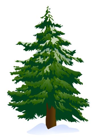 Tree clip art snowy pine tree clipart 4 clipartbold clipartcow Pine Tree Drawing, Tree Clip Art, Pine Tree Painting, Pine Tree Silhouette, Pine Tree Art, Tree House Diy, Tree Stencil, Clip Art Pictures, Conifer Trees