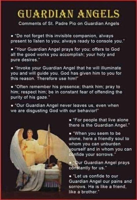 Padre Pio Quotes, Catholic Saints Prayers, Catholic Theology, St Padre Pio, Guardian Angels Prayer, Mother Angelica, Catholic Beliefs, Saint Quotes Catholic, Angel Prayers