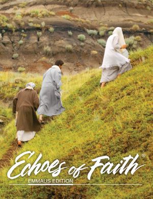 The new Echoes of Faith catechist formation process is inspired by the story of The Appearance on the Road to Emmaus (see Luke 24:13-35). Walk with Jesus as you accompany others on a journey that echoes faith in Christ. Echoes of Faith Emmaus Edition leads catechists through comprehensive formation, helping them to grow in their understanding of Church teachings, the role of the catechist, and methodology. The Road To Emmaus, Walk To Emmaus, Road To Emmaus, Inspiration Words, Walk With Jesus, Faith Formation, On The Road, Bible Study, The Road