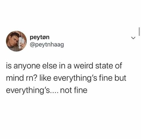 Everything is fine but also everything is not fine Memes Of The Day, Jumping For Joy, Everything Is Fine, Nalu, Daily Memes, Super Happy, Deep Thought Quotes, What’s Going On, State Of Mind