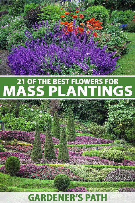 Flower Bed Island Ideas, Mass Planting Landscape Design, Island Garden Bed Ideas, Planting Design Plan, Garden Reference, Planting Layout, Backyard Hacks, Mass Planting, Garden Planning Layout