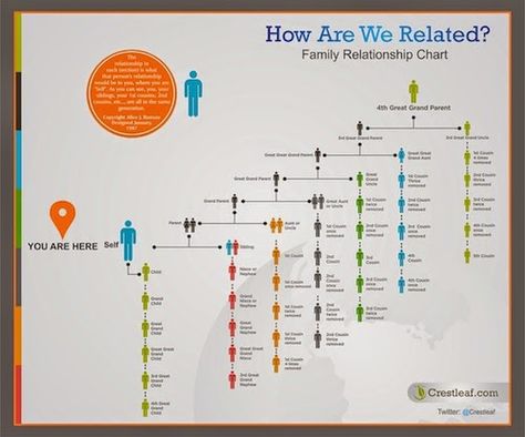 A Relationship Calculator Helps with DNA Matches - The Olive Genealogy Tree Blog Cousins Chart, Cousin Chart, Family Relationship Chart, Cousin Relationships, Family Chart, Summertime Decor, Relationship Chart, Genealogy Organization, Family Tree Research