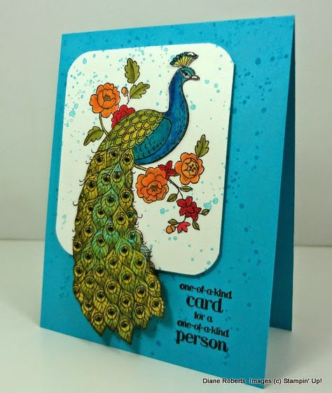 Perfect Peacock Birds Species, Congrats Cards, Peacock Baby, Get Crazy, Congrats Card, Beautiful Peacock, The Peacock, Beautiful Handmade Cards, Card Making Tutorials