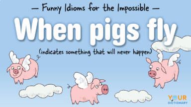 Maybe when pigs fly, we'll all understand every single idiom in the world. Until then, start with baby steps and learn some of the more popular ones! When Pigs Fly Quotes, Funny Idioms, Fly Quotes, When Pigs Fly, Lightning In A Bottle, Pigs Fly, Flying Pig, Going On A Date, The Impossible