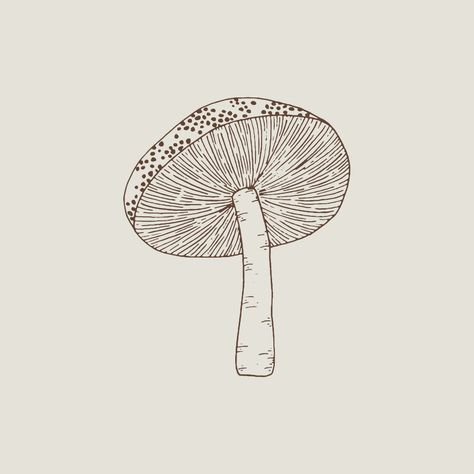 neutral mushroom line art phone widget Mushroom Widget, Tattoos Earthy, Neutral Widgets, Mushroom Line Art, Drawing Plants, Phone Widget, Drawing Designs, Lino Cut, Iphone Wallpaper App