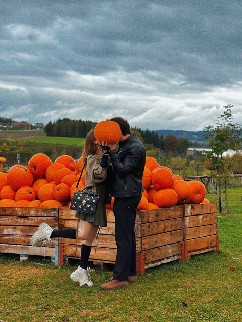 Pumpkin patch date, a kiss behind a pumpkin, couple date ideas, pumpkins in Switzerland Pumpkin Patch Proposal, Halloween Dates, October Dates, Pumpkin Patch Date, Fotos Halloween, Couple Dates, Fall Date Ideas, Fall Couple Pictures, Pumpkin Patch Photoshoot