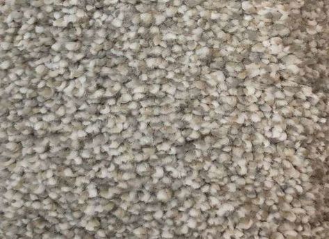 Best Carpet Colors: Abbey by Home Decorators Collection Grey Beige Carpet, What Color Carpet Goes With Gray Walls, Carpet Colors With Gray Walls, Wall To Wall Carpet Ideas, Bedroom Carpet Colors, Home Depot Flooring, Choosing Carpet, Home Depot Carpet, Mohawk Carpet