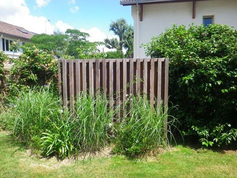 How to hide your heat pump: ideas, solutions, advice and DIY Heat Pump Cover, Wooden Pallets, Heat Pump, Green Wall, Pool House, Hedges, Swimming Pools, The Top, Sweet Home