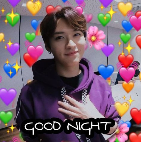 Good Night Meme, Skz Memes, Lee Know Stray Kids, Baby Squirrel, Crazy Kids, Lee Know, Good Night, Stray Kids, The Outsiders