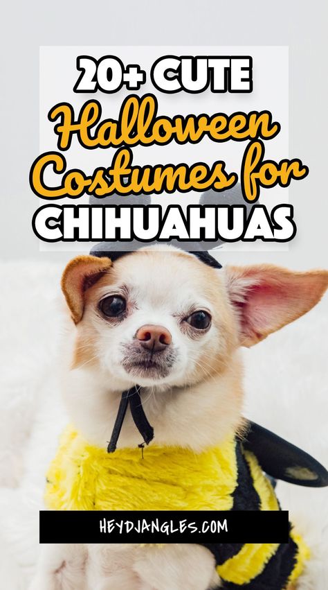 Halloween Costumes For Chihuahuas, Chihuahua Costumes Halloween, Chihuahua Halloween Costumes, Baby Dog Costume, Dog Costumes For Kids, Dog And Owner Costumes, Chihuahua Costumes, Best Dog Halloween Costumes, Best Dog Costumes