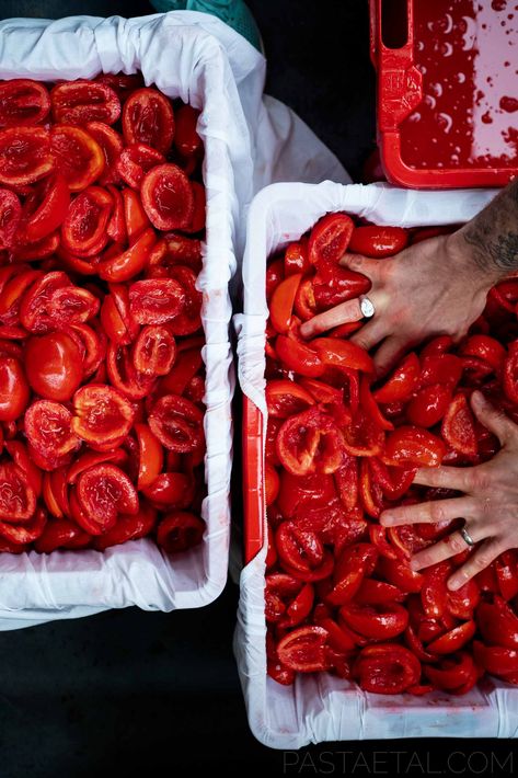 Tomato Passata, Pasta Party, Homemade Tomato Sauce, Canning Tomatoes, Beer Bottles, Pasta Fresca, Italian Cooking, Family Recipe, Roma Tomatoes