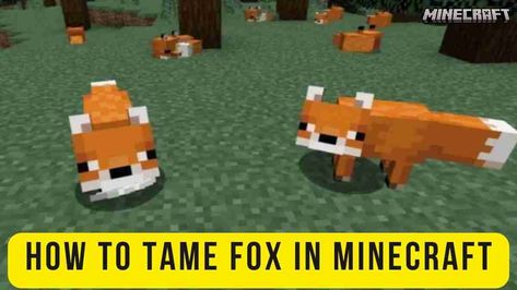 How To Tame A Fox In Minecraft, Minecraft Fox Enclosure, Minecraft Fox House, Quiet Critters, Minecraft Baby, Tame Animals, Young Fox, Rabbits Foot, Minecraft Banners