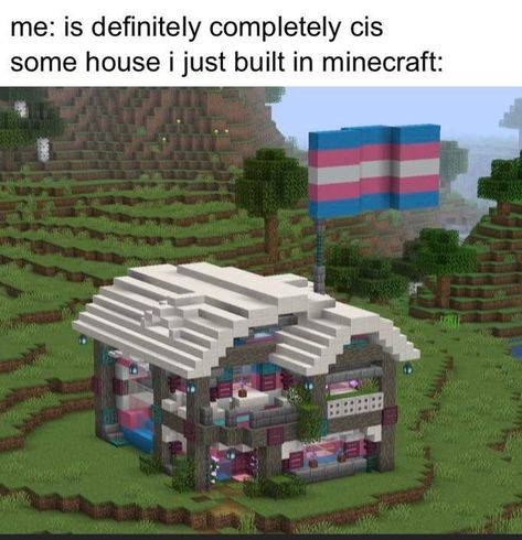 Pride Minecraft Builds, Silly Minecraft Builds, Tony Core, Cute Minecraft Houses, Minecraft Funny, Minecraft Inspo, Minecraft House Designs, Minecraft Stuff, Minecraft Memes