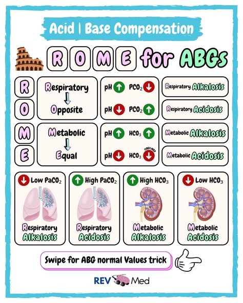 Respiratory Ventilation, Acidosis And Alkalosis, Bsn Nursing, Respiratory Alkalosis, Metabolic Alkalosis, Respiratory Disorders, Respiratory Acidosis, Anatomy Medical, Nursing School Essential