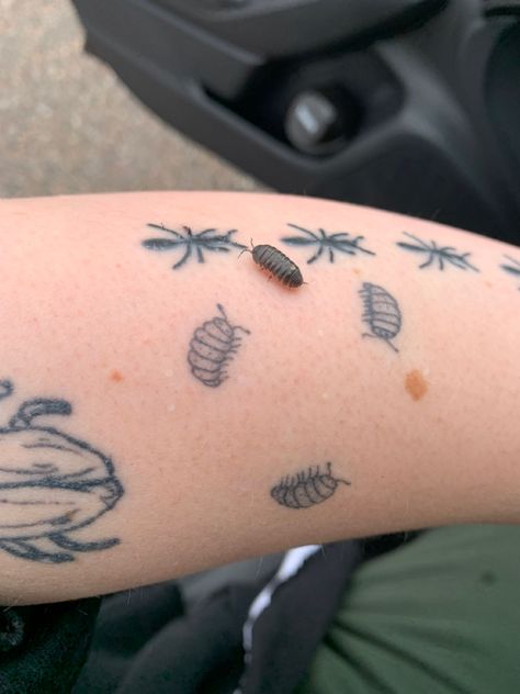 A small roly poly isopod sits right next to my tattoo of 3 roly polies on my left arm Trinket Tattoo Ideas, Whimsicle Tattoo, I Spy Tattoo, Matching Guy Tattoos, Amoeba Tattoo, Woodlice Tattoo, Cool Insect Tattoos, A Series Of Unfortunate Events Tattoo, Little Things Tattoo