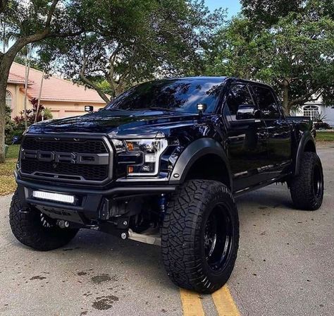 Ford Raptor equipped with a Fabtech 4” Lift Kit Truk Ford, Off Road Jeep, Jeep Pickup Truck, Best Pickup Truck, Red Mustang, Ford F150 Raptor, Ford Trucks F150, Ford Ranger Raptor, Ranger Truck