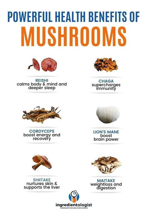 Powerful Health Benefits of Mushrooms | Best Supplements #turkey #tail #mushroom #benefits Benefits Of Mushrooms, Mushroom Guide, Health Benefits Of Mushrooms, Boosting Immunity, Mushroom Benefits, Turkey Tail Mushroom, Food Infographic, Healthy Supplements, Ways To Stay Healthy