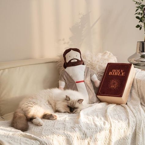 Bible Pillow, Comfy Room, God's Light, Christian Graphic Design, Jesus Design, Worship Jesus, Gift Inspo, Jesus Is Life, Christian Humor