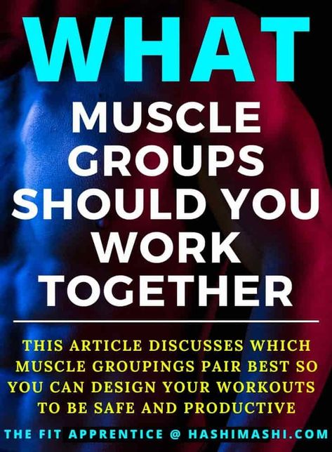 What Muscles Work Together - This article discusses which muscle groupings pair best so you can design your workouts to be safe and productive. 

what muscles work together | what muscle groups work together | which muscles work together | what muscles should you work together Muscle Combination Workouts, What Muscle Groups To Work Together, Body Muscles Names, Muscle Groups To Workout Together, Muscle Groups To Workout, Dumbbell Workouts, Muscular Endurance, Health And Wellness Coach, Fitness Trends