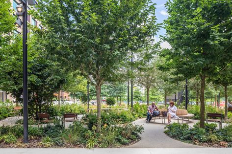 Television Centre by Gillespies Landscape Architects « Landscape Architecture Platform | Landezine Urban Forest Design, Urban Landscape Design, Healing Garden, Urban Forest, Areas Verdes, London Garden, Park Landscape, Landscape Architecture Design, Garden Park