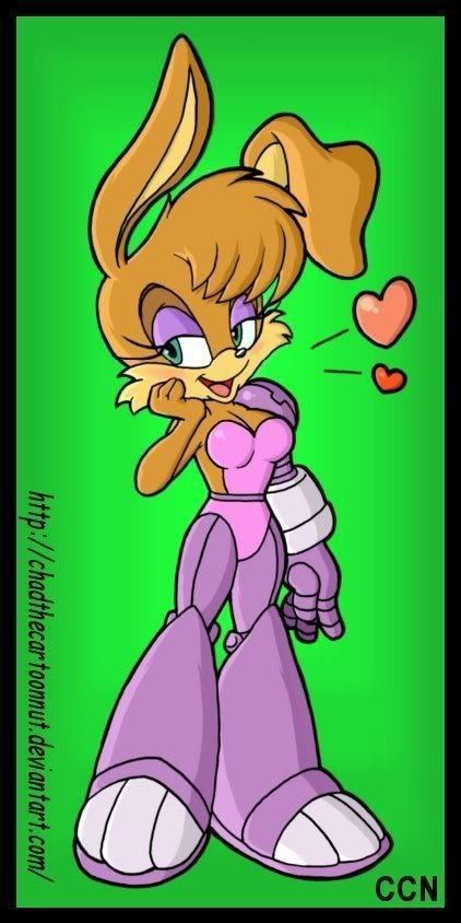 Bunnie Rabbot, Sonic Satam, Archie Comics Characters, Sally Acorn, Robert Wood, Sonic Mania, Sonic And Amy, Sonic Fan Characters, Sonic Fan Art