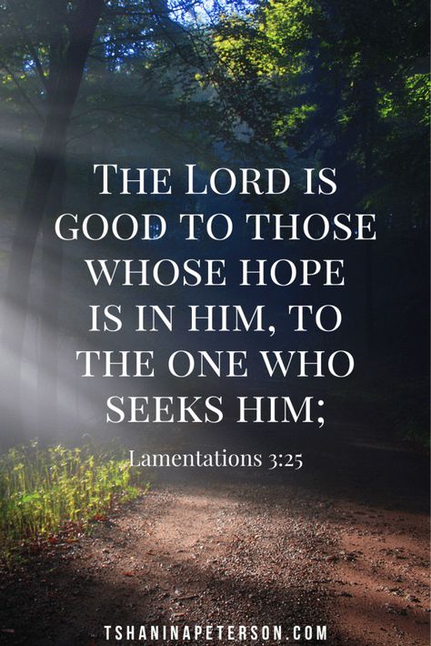 Let these Bible verses about hope be a balm to your weary heart and soul. As you read through them be encouraged and allow them to fill you with hope for the future and all the things God has promised you. Prayer For Salvation, Bible Verses About Hope, Verses About Hope, Encouraging Bible Quotes, Wisdom Bible, Hope Bible Verses, Christian Scriptures, Uplifting Bible Verses, Bible Verse Cards