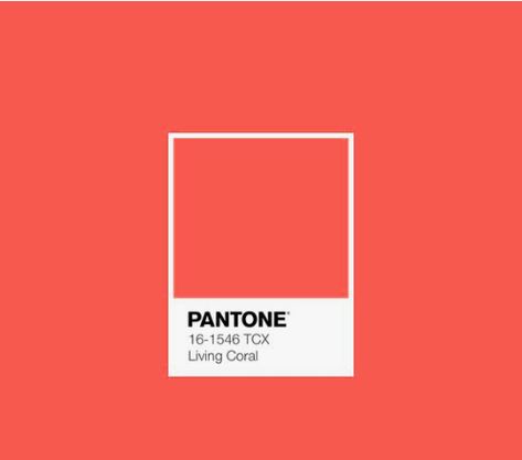 Coral Color Schemes, Infinity Room, March Dresses, Snack Packaging, Coral Design, Red Colour Palette, Color Board, Live Coral, Living Coral