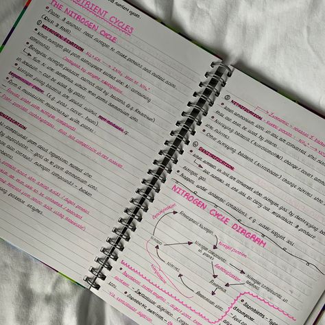 Neet Notes, Nutrient Cycle, Nitrogen Cycle, Carbon Cycle, Nucleic Acid, School Notes