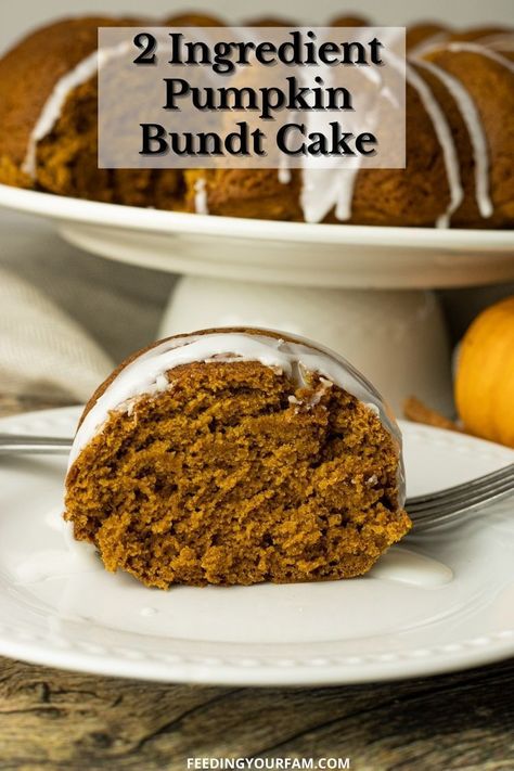 Pumpkin Cake With Bundt Pan, Spice Cake Mix And Pumpkin Bundt, Spice Cake Mix And Pumpkin Puree, Nothing Bundt Cakes Pumpkin Spice, 2 Ingredient Pumpkin Spice Cake, Pumpkin Spice Bundt Cake Easy, Cake Mix And Pumpkin Puree, Pumpkin Spice Bundt Cake, Spice Bundt Cake