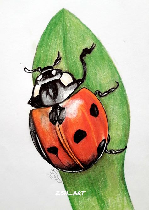 Bugs Drawing, Colored Pencil Art Projects, Line Tattoo Ideas, Color Pencil Sketch, Prismacolor Art, Ladybug Art, Colored Pencil Artwork, Line Tattoo, Next Tattoo