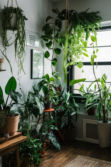 Step inside a stunning urban jungle apartment filled with vibrant indoor plants. Discover how to style greenery in your home while creating a cozy, nature-inspired retreat. #UrbanJungle #ApartmentDecor #IndoorPlants #NatureInspiredLiving #GreenApartment #CozyRetreat #PlantStyling #UrbanLiving #HomeInspo #GreenLivingSpaces Plant Vibes Aesthetic, Home Plants Aesthetic, Plant Lady Aesthetic, Plant Lover Aesthetic, Jungle Apartment, House Plants Aesthetic, Indoor Plant Ideas, Dark Office, Home Jungle