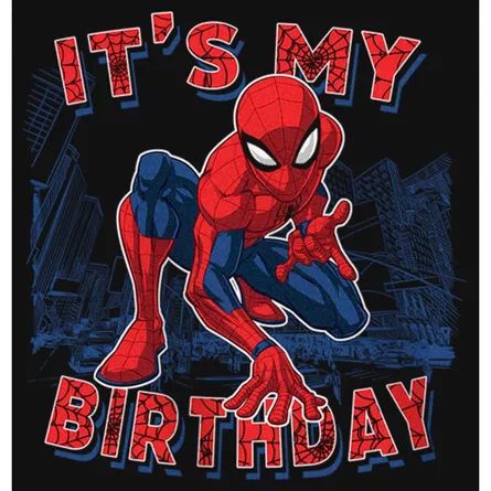 Happy Birthday Spiderman, Spiderman Theme Party, Spiderman Theme, Superhero Fashion, Black Spiderman, Happy Birthday Girls, Birthday Boys, Marvel Shirt, Spiderman Birthday